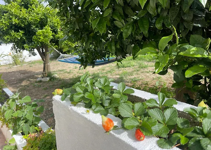 Nyaraló Neto Pinto - Casa De Ferias / Fins De Semana.