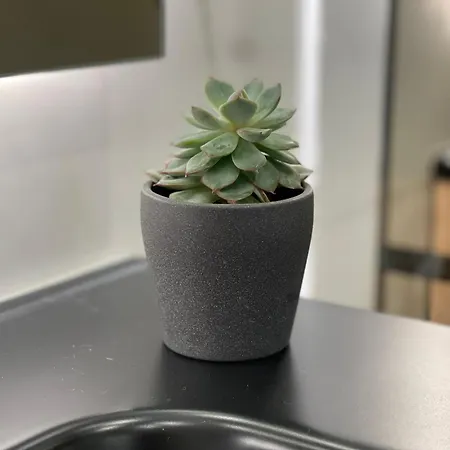 Casa de Férias Neto Pinto - Casa De Ferias / Fins De Semana. *