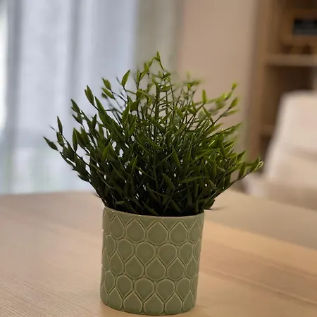 Neto Pinto - Casa De Ferias / Fins De Semana. Lourinhã