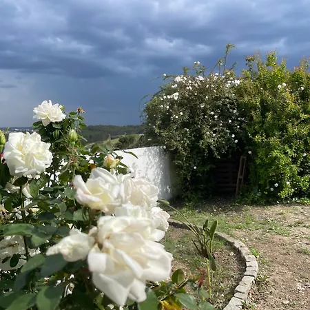 Holiday home Neto Pinto - Casa De Ferias / Fins De Semana.