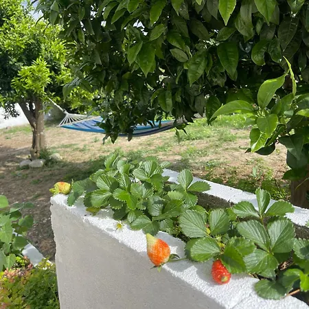 Holiday home Neto Pinto - Casa De Ferias / Fins De Semana.